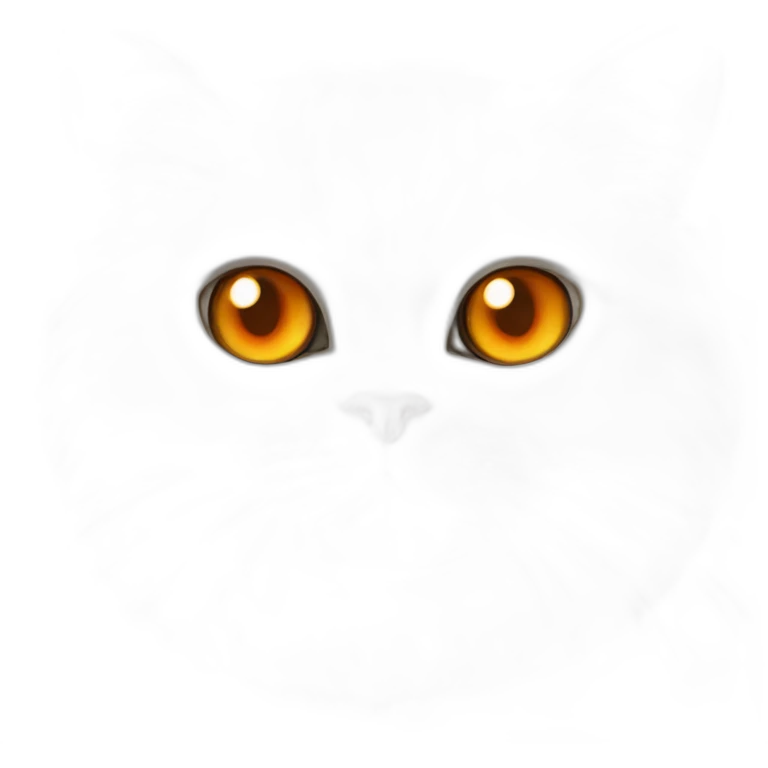 head of a white persian chinchilla cat with orange eye that look stupid emoji