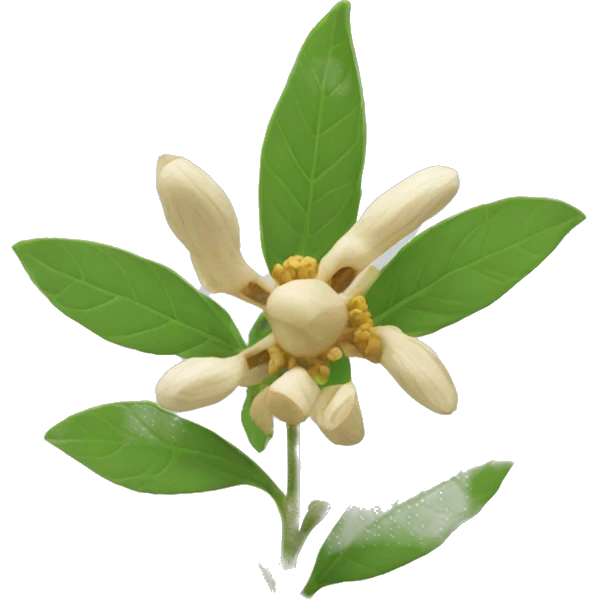 ashwagandha flower emoji
