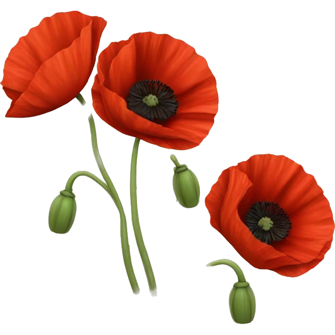 three red poppies with stems emoji
