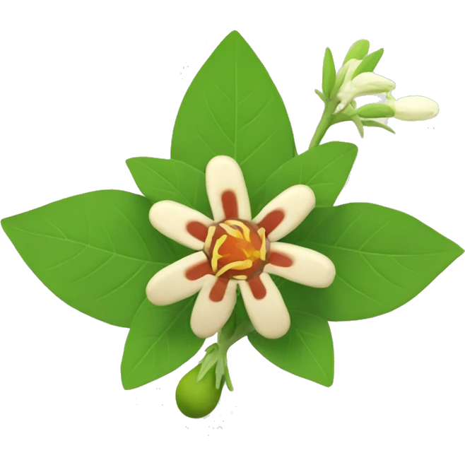 ashwagandha with flower emoji