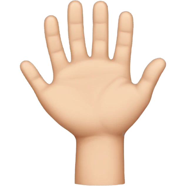 time out hands  emoji