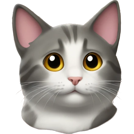 Cat on a house emoji