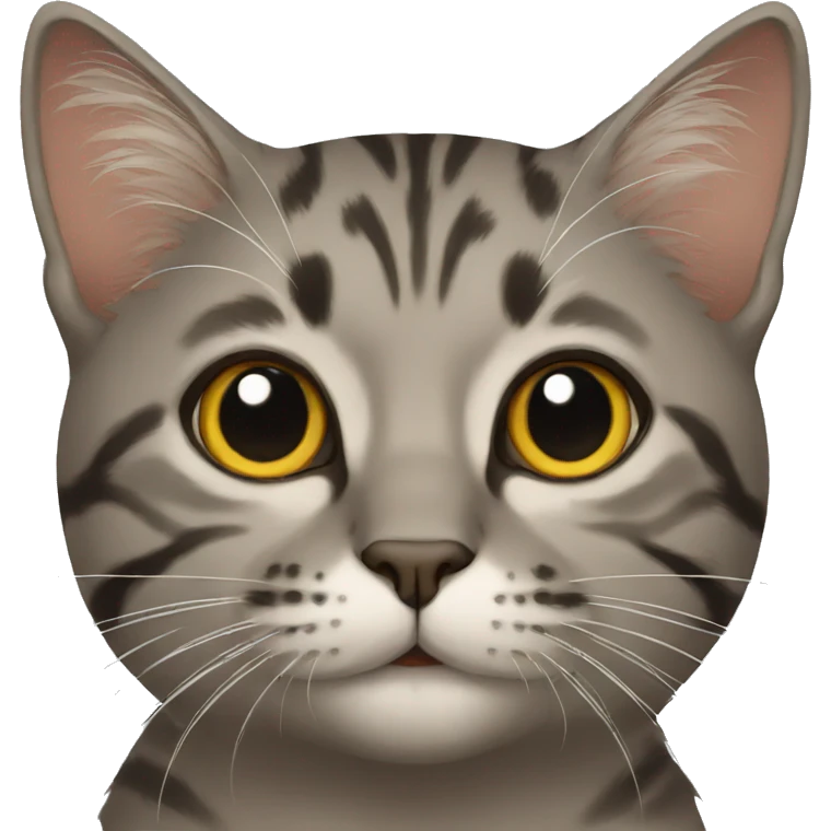 Cat emoji