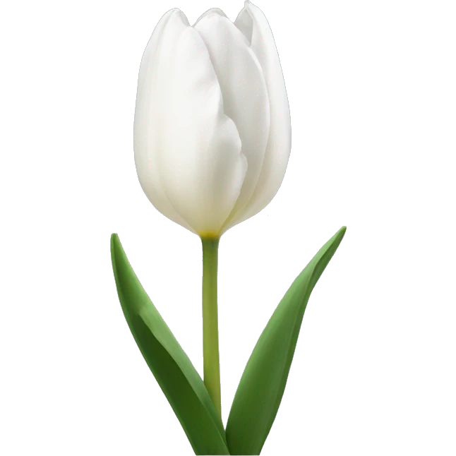 White tulipa emoji