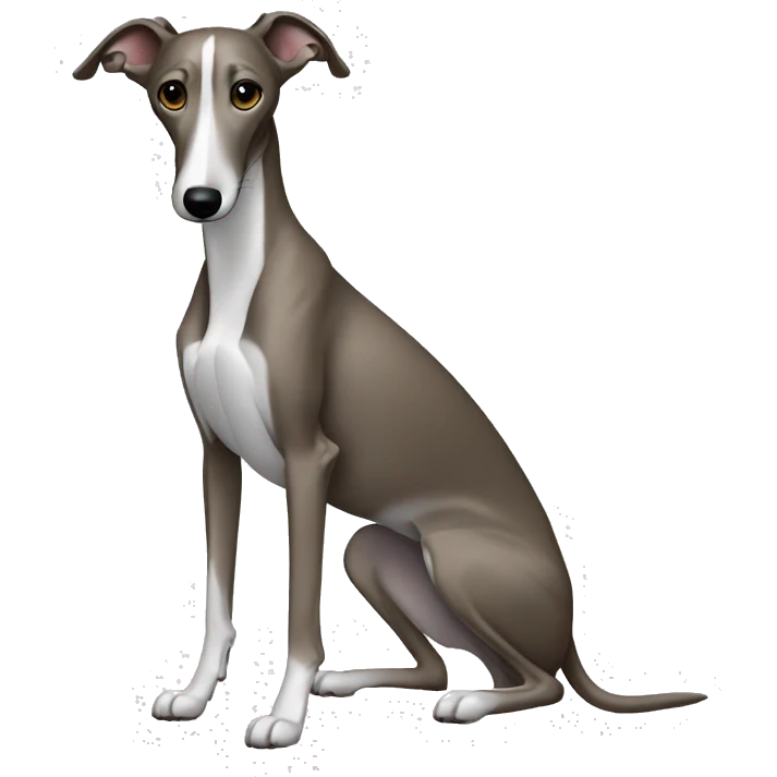 Skinny all back whippet sitting emoji