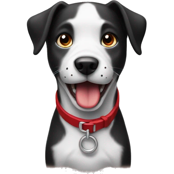 black and white dog with red collar holding a tiny yell emoji
