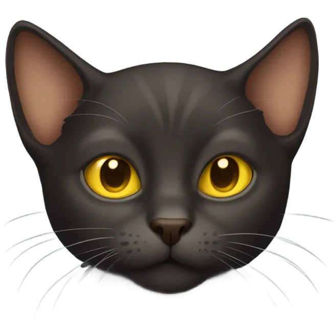 Dark brown cat with yellow eyes and big ears  emoji