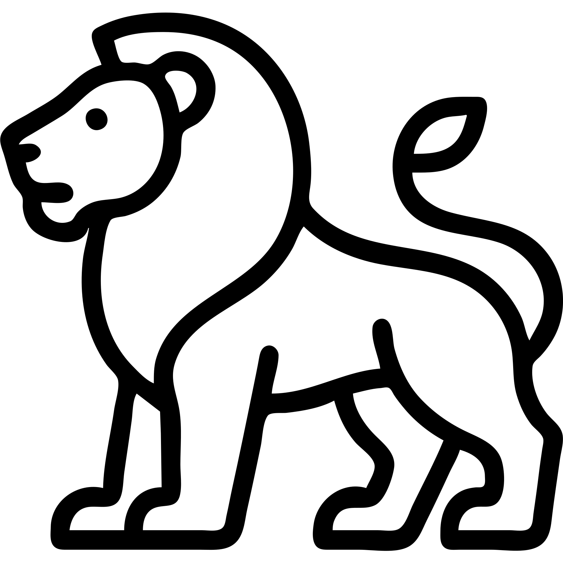 lion icon, outlined style, no fill, strong black lines, minimalist emoji