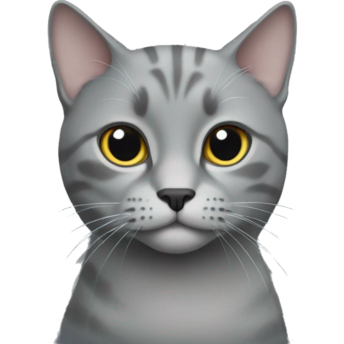 Grey Scotland cat emoji