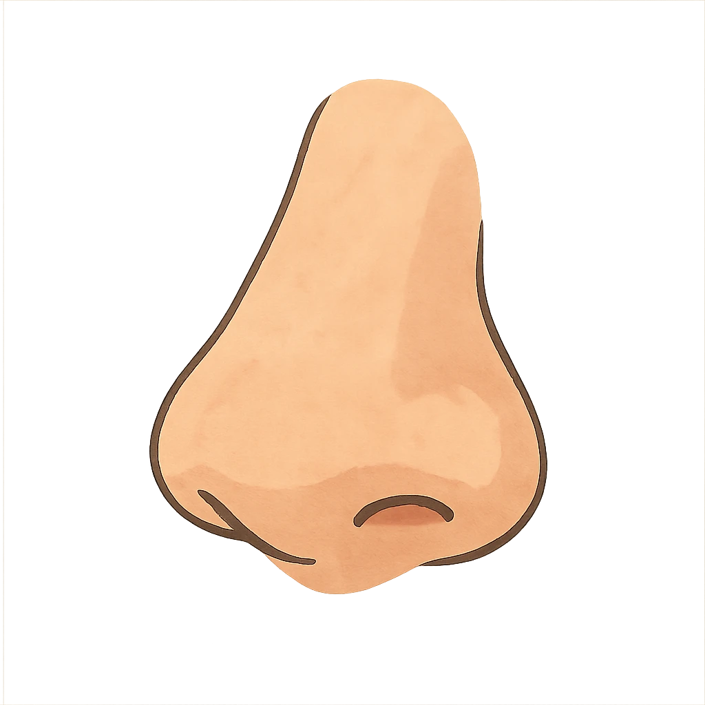 ghibli style nose emoji