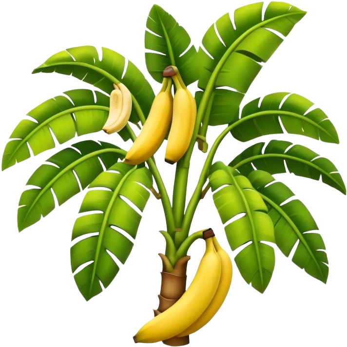 banana tree emoji