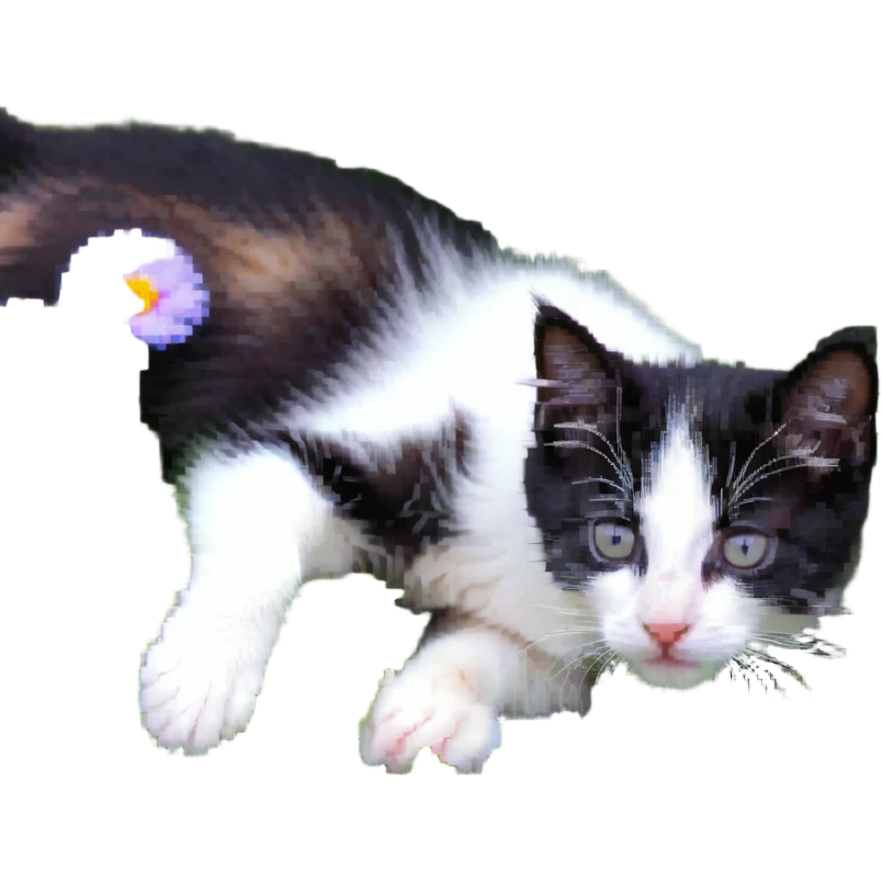 Kitten lying in flowers emoji