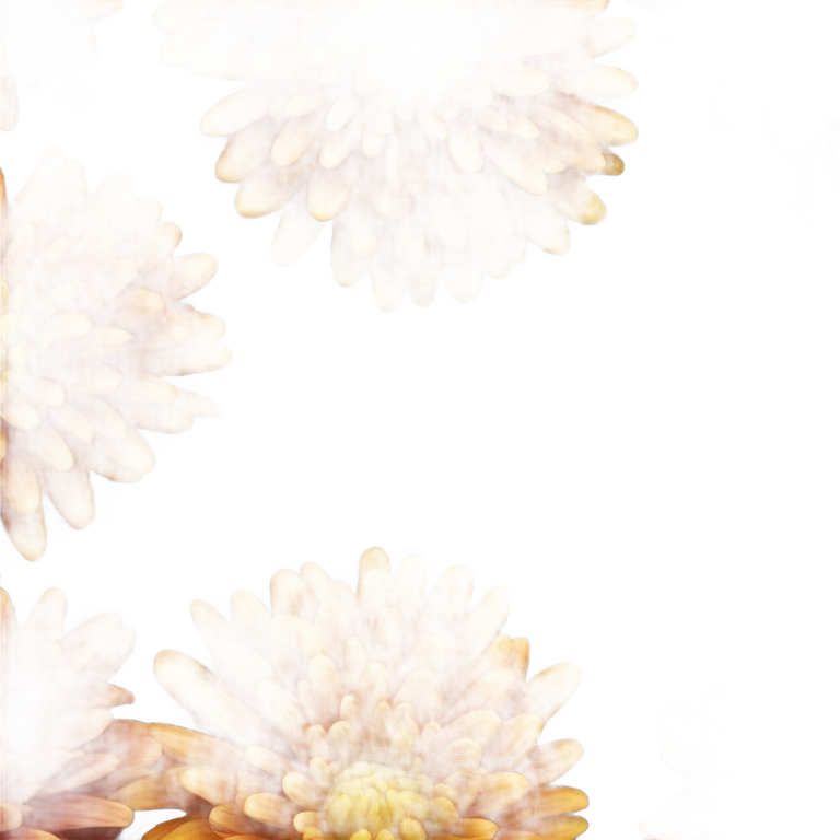 Chrysanthemum  emoji