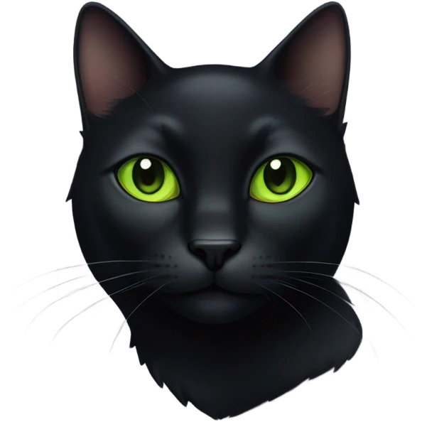 cat black  emoji