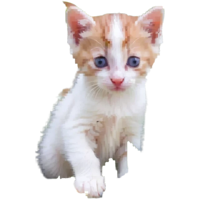 Kitten smells flowers emoji