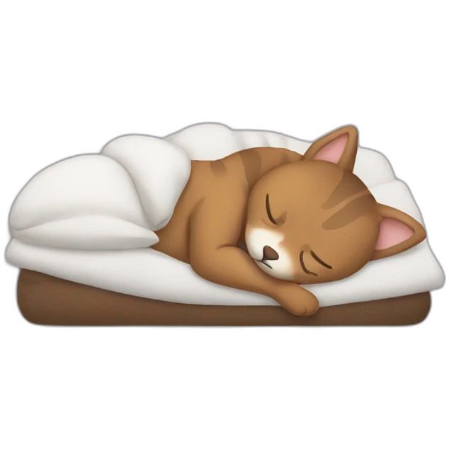 Sleeping 💤 emoji