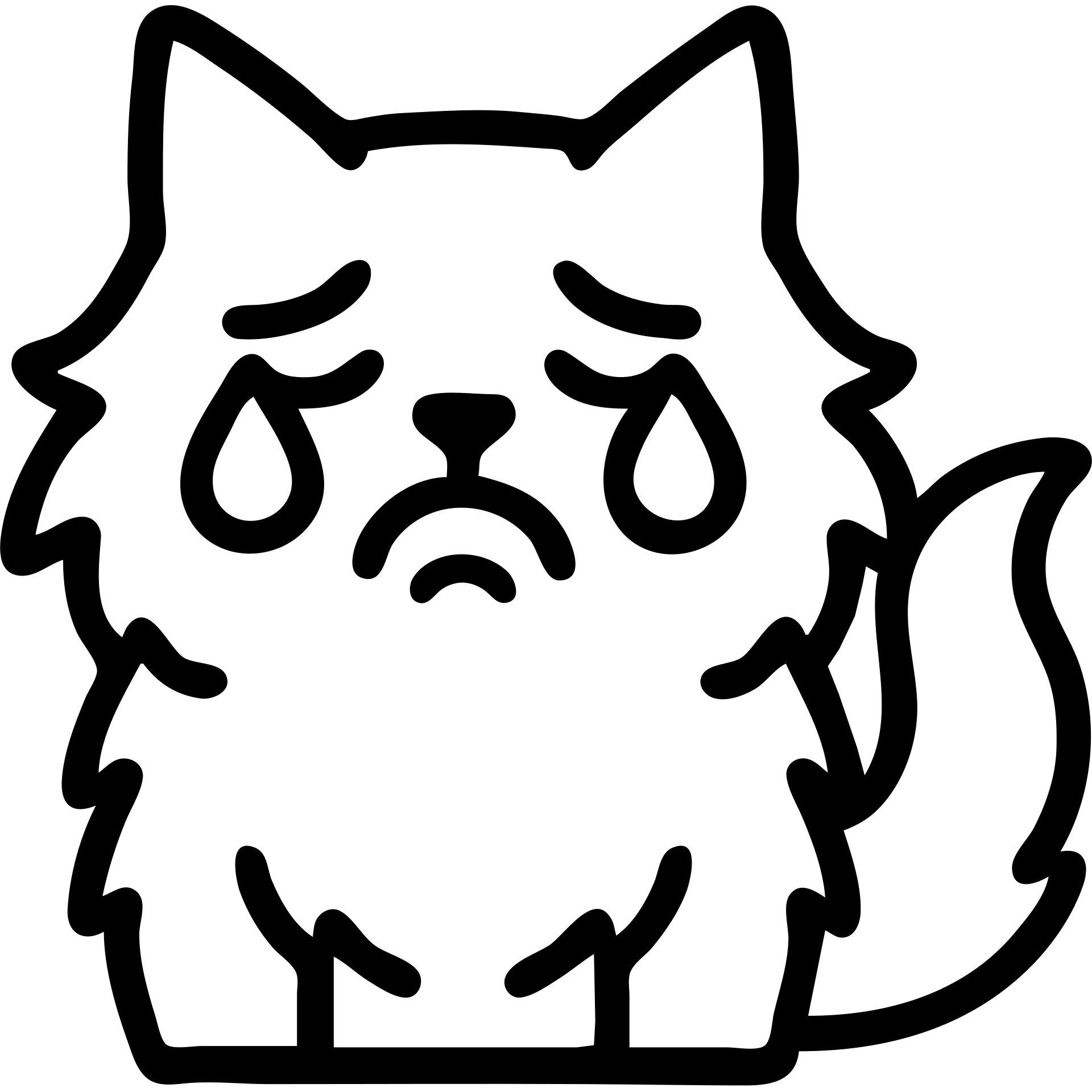 icon of a black and white fluffy cat with a crying expression, clean lines, iconographic style emoji