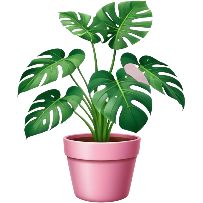 Monstera plant in a pink pot emoji