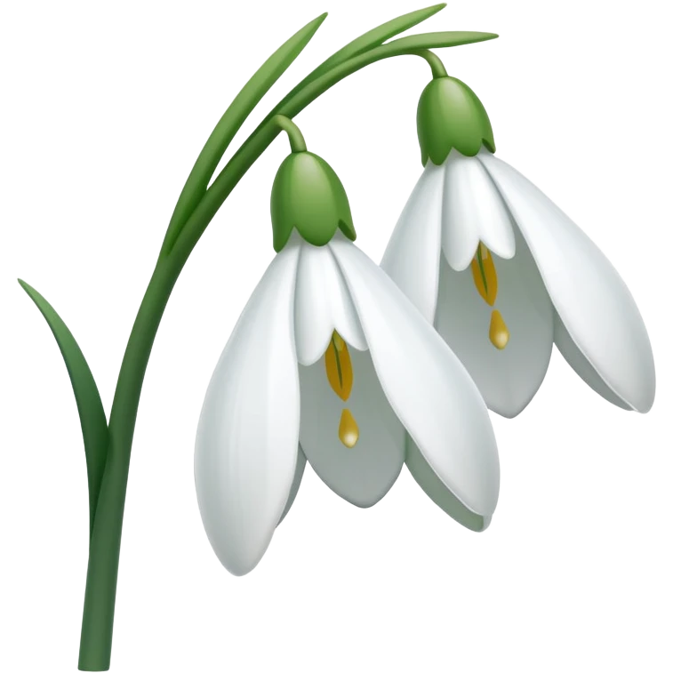 snowdrop flower emoji