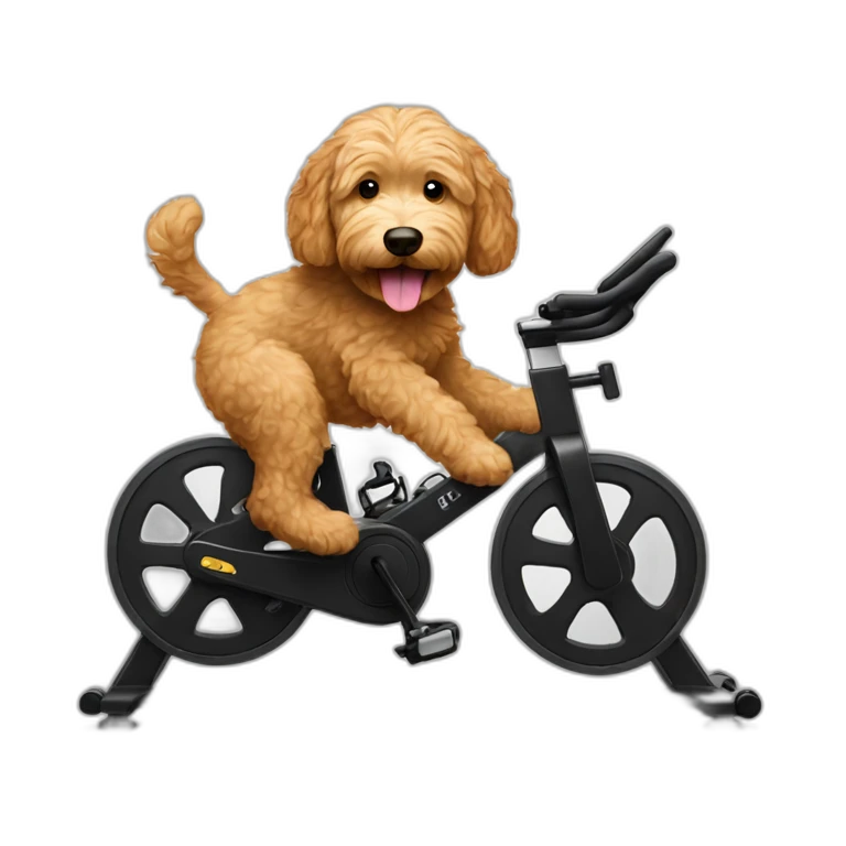 Goldendoodle riding a spin bike emoji