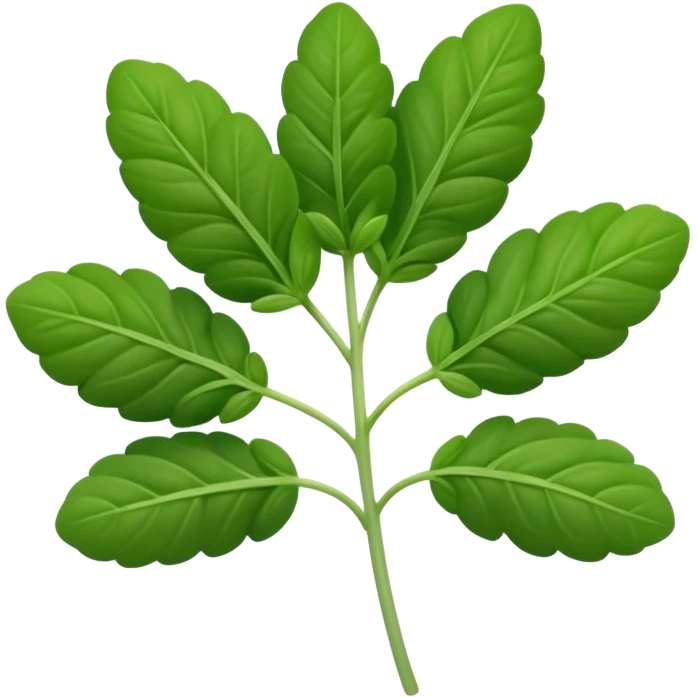 small sprig of fresh oregano with oval slightly fuzzy green leaves on thin tender stems, leaves clustered and layered with subtle natural curves and soft midrib veins, color ranges from vibrant to muted green, no pot scissors or extras, apple emoji style, soft lighting, subtle shadows, emoji scale emoji
