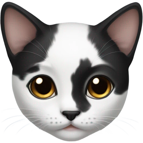 black and white kitten with black patches above eyes emoji
