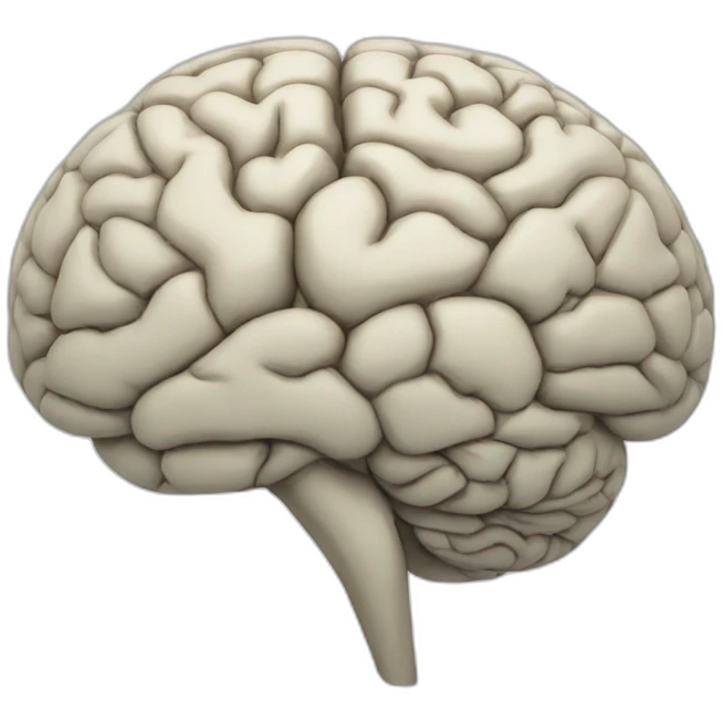 brain map emoji