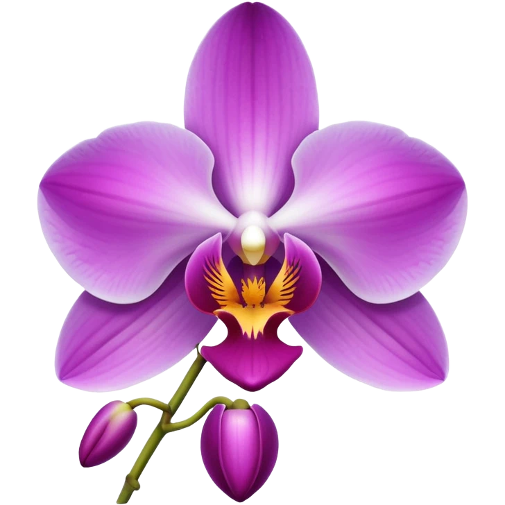 Orchid emoji