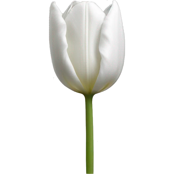 wite tulip emoji