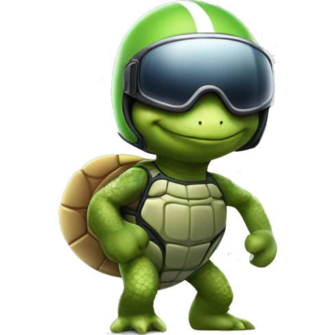 turtle racer wearing helmet and taking like an f1 pose emoji