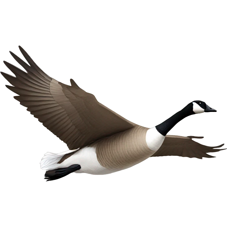 Canadian goose flying emoji