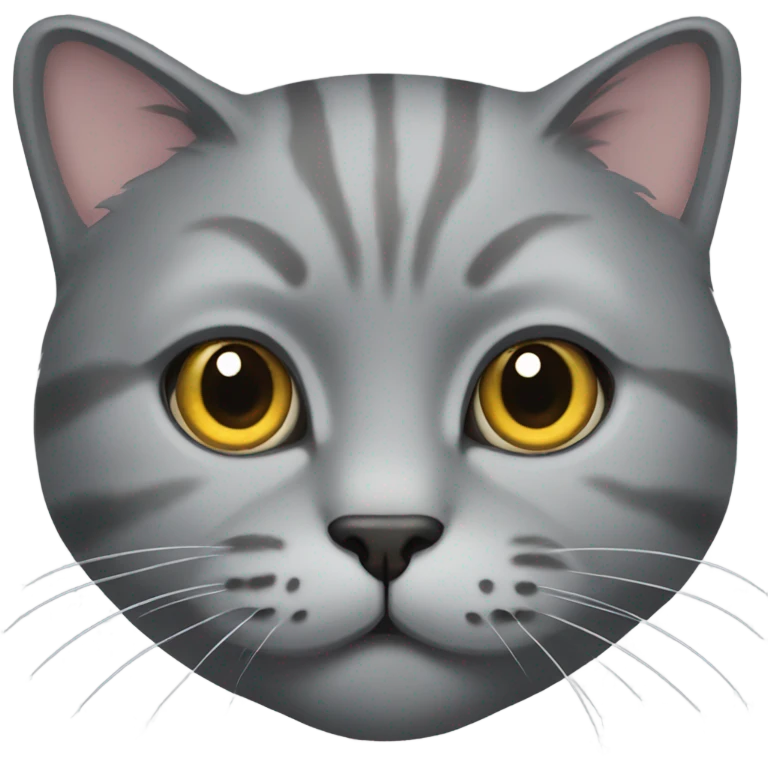 Grey scottish cat  emoji