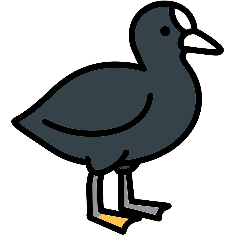 black coot bird, a duck with black feathers, white beak, and grey legs emoji