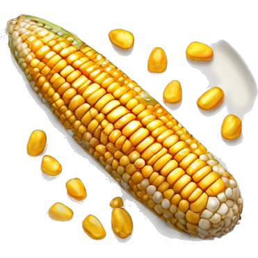 broiled whole corn with deliciously toasted kernels sitting on a plate emoji