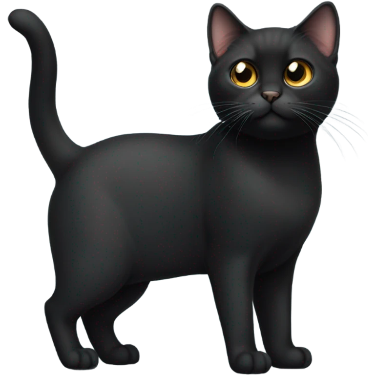 Black munchkin cat emoji