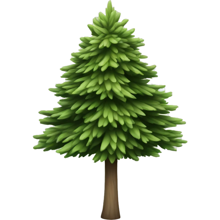  actual white fir christmas tree isolated.  emoji