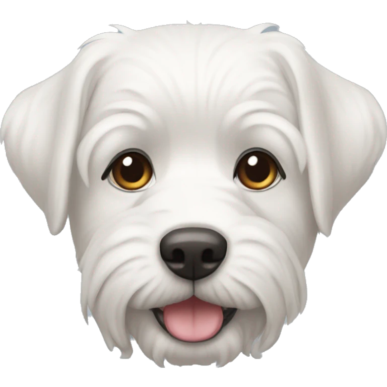 perro maltes blanco  emoji