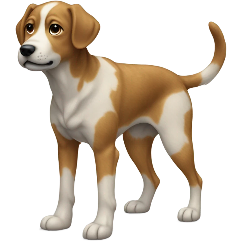 dog pooping emoji