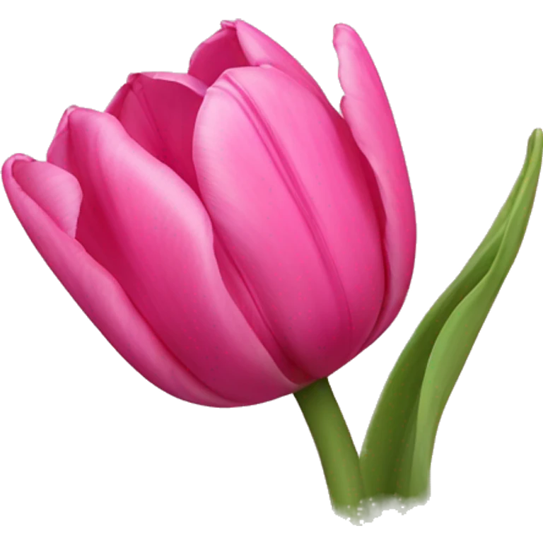 Pink tulips  emoji