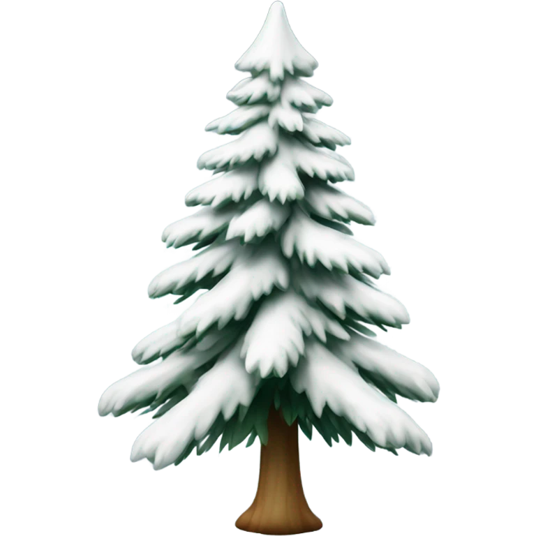  actual white fir christmas tree isolated.  emoji