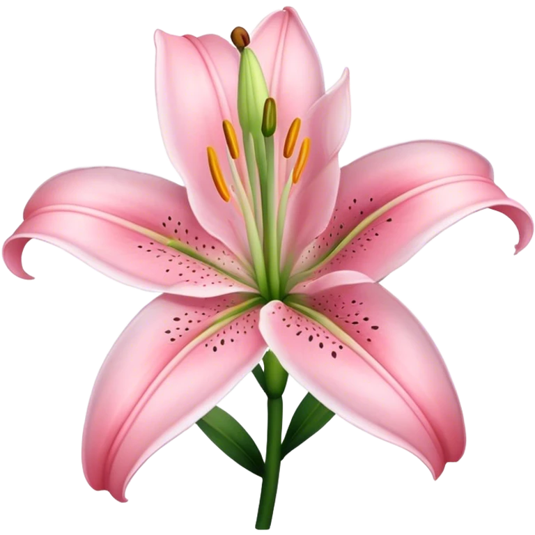 light pink lilium emoji