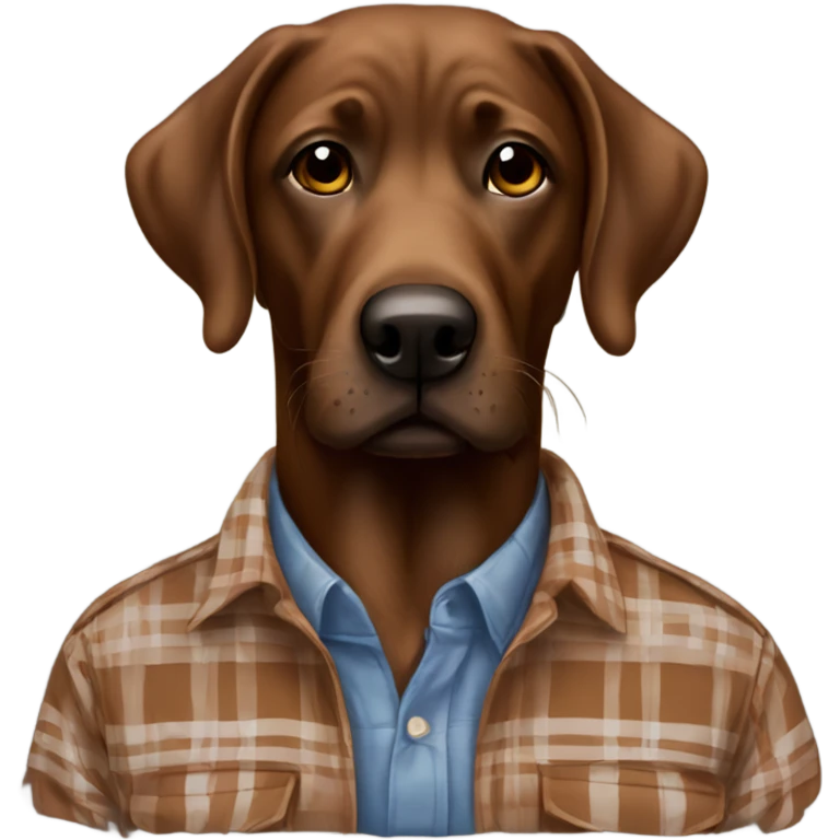 plaid shirt male portrait with brown lab emoji
