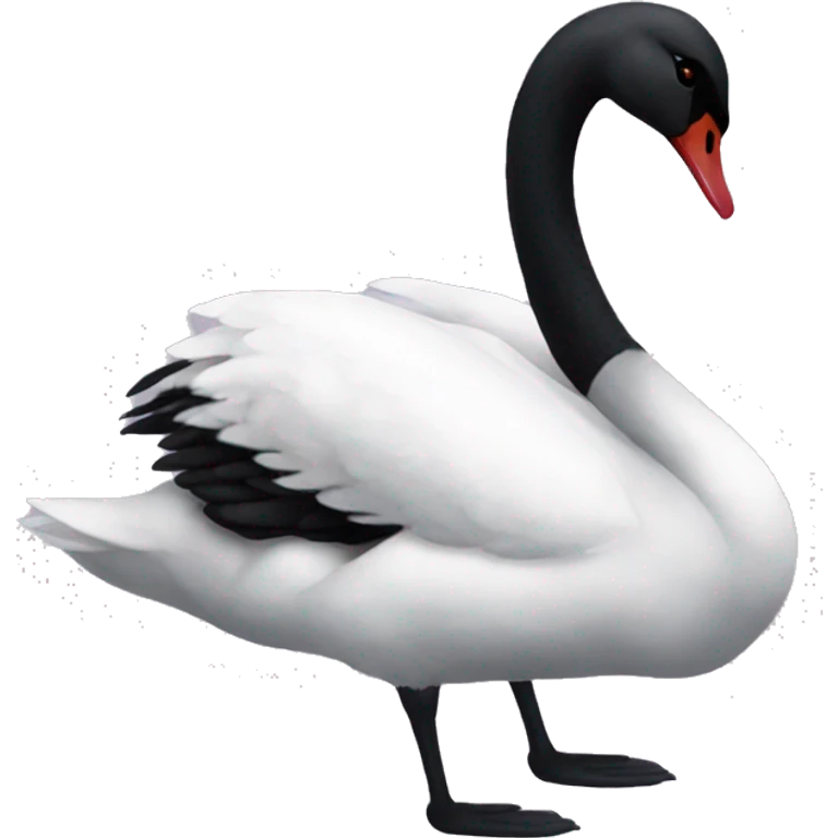 black swan  emoji