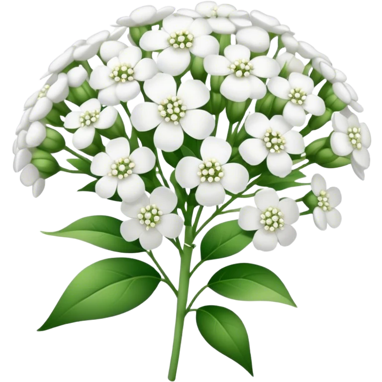 baby’s breath  emoji