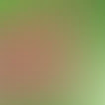 blurhash of the original image