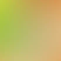 blurhash of the original image