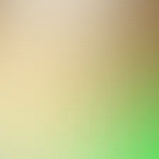 blurhash of the original image