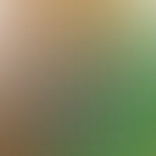 blurhash of the original image