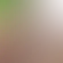 blurhash of the original image