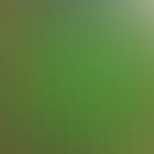 blurhash of the original image